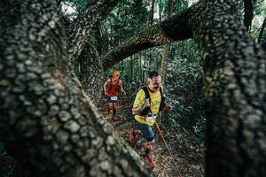 BIB: 
                            <button type="button" onclick="openModal(25392019)" class="btn btn-primary btn-sm float-right btn-popup" data-toggle="modal" data-target=".modal-high-quality">
                        <i class="fas fa-shopping-cart"></i> Add to Cart
                    </button>
                                            <button type="button" onclick="isThisMe(25392019, true)" class="btn btn-success btn-sm float-right btn-popup btn-isme hidden" data-toggle="tooltip" data-placement="bottom" title="นี่คือรูปของคุณใช่ไหม คลิกที่นี่เพื่อเอาเข้าอัลบั้ม">
                        <i class="fas fa-plus"></i> Add to album
                    </button>
                    <button type="button" onclick="isThisMe(25392019, false)" class="btn btn-warning btn-sm float-right btn-popup btn-isnotme hidden">
                        <i class="fas fa-ban"></i> Remove from album
                    </button>